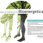 Cos’è la Bioenergetica