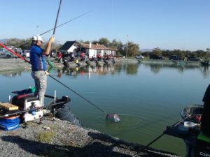 Orvieto e dintorni: alla scoperta (e riscoperta) di impianti di pesca sportiva.