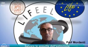 Salviamo le anguille dall’estinzione.  Intervista al Prof. Oliviero Mordenti ricercatore in acquacoltura – Università Bologna.